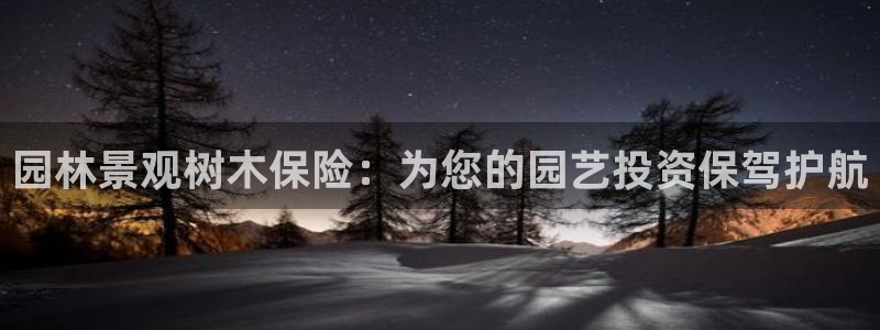 新宝gg玩法