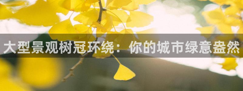 新宝gg登录