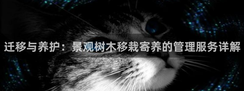 新宝gg_