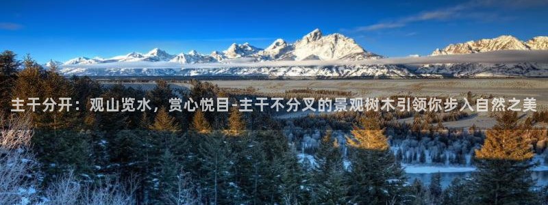新宝gg奖金：主干分开：观山览水，赏心悦目-主干不分叉的景观树木引领你步入自然之美