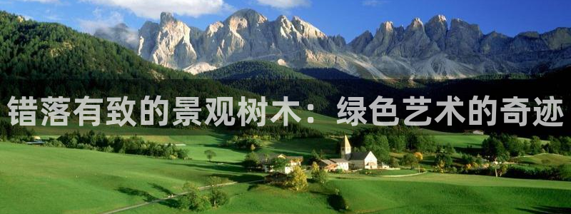 广东新宝电器gg