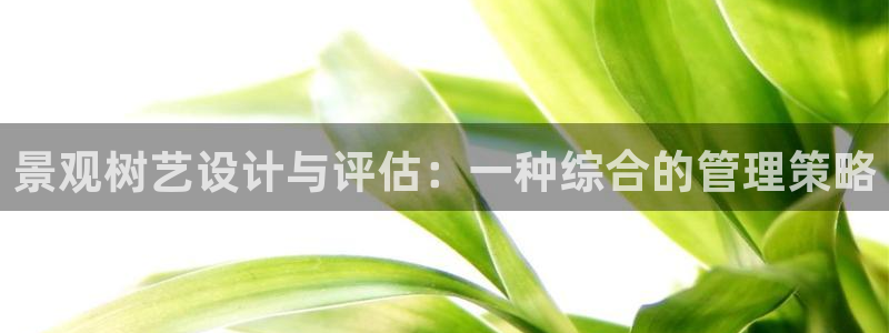新宝gg在哪开户