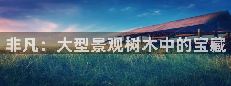 新宝太阳 gg