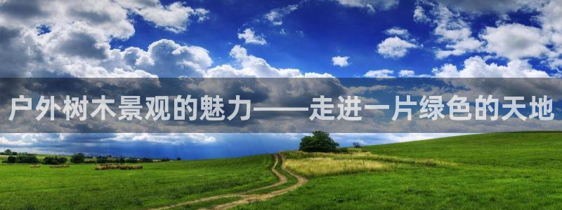 新宝gg欢迎