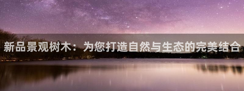 新宝gg开户
