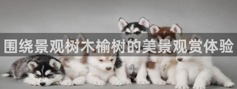 新宝奇迹GG5