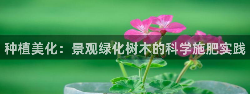 新宝gg娱乐客户端下载