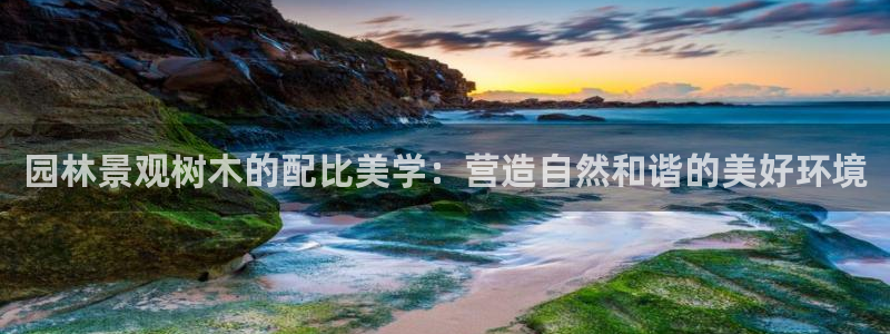 宝GG账78778新宝GG俪78778