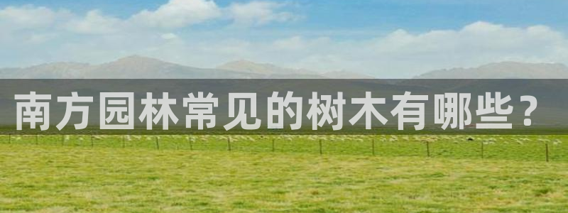 新宝gg官方下载