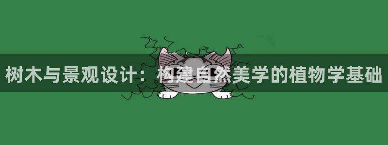 新宝gg主管 9