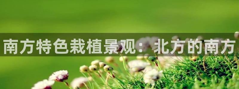 新宝gg-创业奇迹