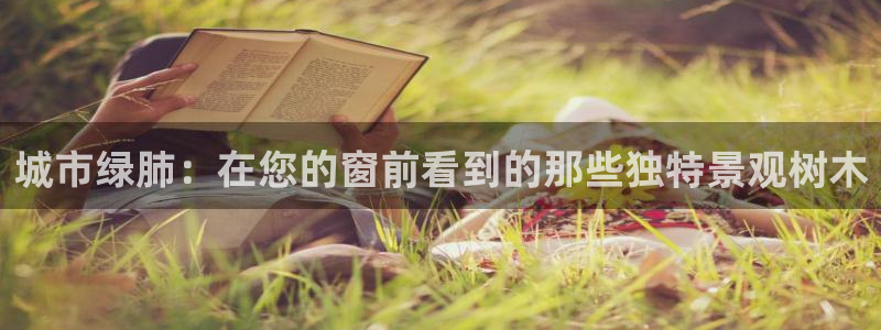 新宝GG最高返点多少