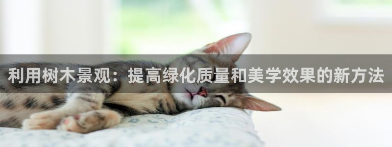 重庆新宝gg：利用树木景观：提高绿化质量和美学效果的新方法