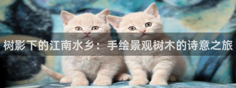 新宝GG上级