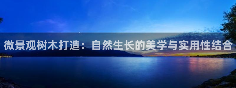 新宝gg娱乐怎么样