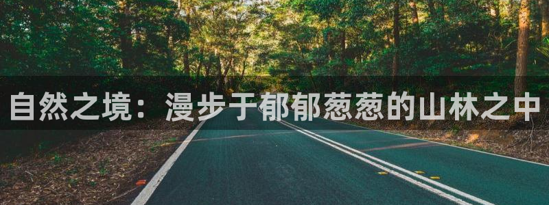 新宝gg代：自然之境：漫步于郁郁葱葱的山林之中