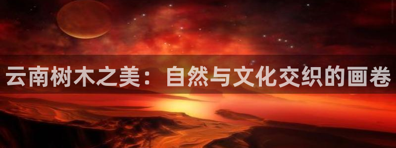 新宝gg奇迹
