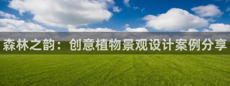 新宝gg真的能赚钱么