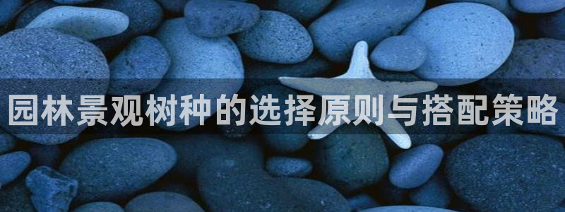 新宝gg待遇
