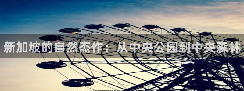 广东新宝电器gg