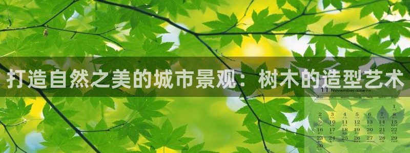 新宝gg合法吗