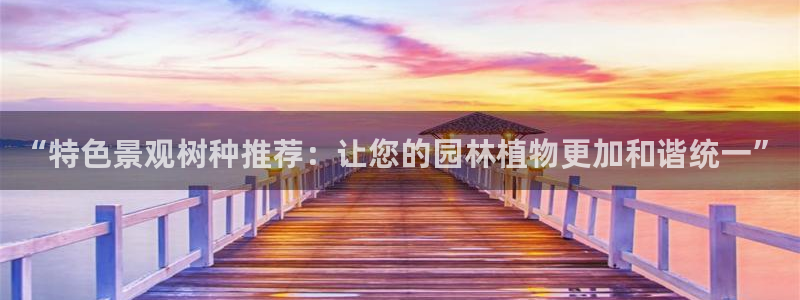 新宝gg待遇