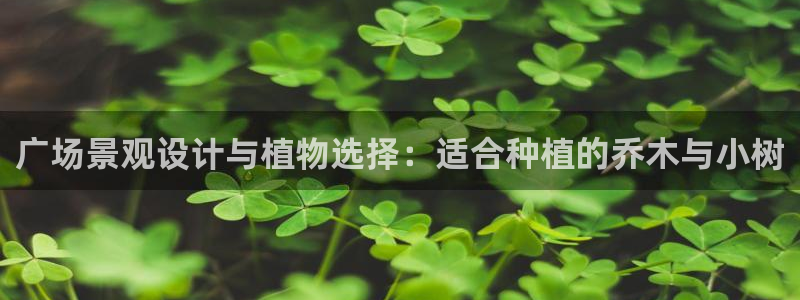 新宝gg主页