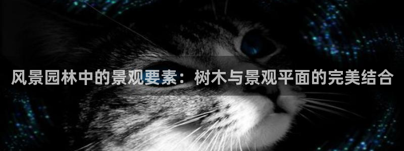 新宝gg__