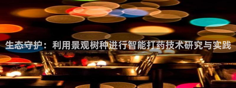 新宝GG创业奇迹