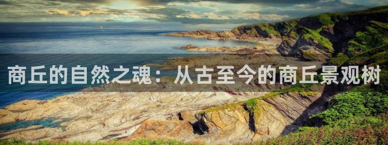 新宝gg如何做到总代理