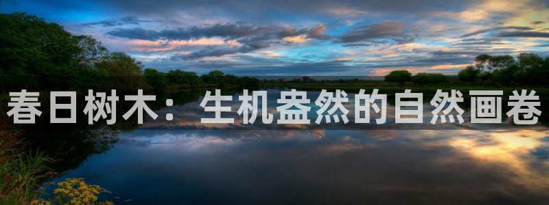 新宝gg手机助手