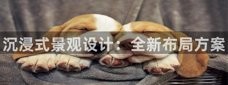 新宝gg娱乐客户端下载