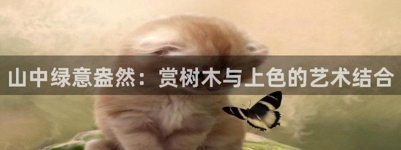 新宝gg高频彩票