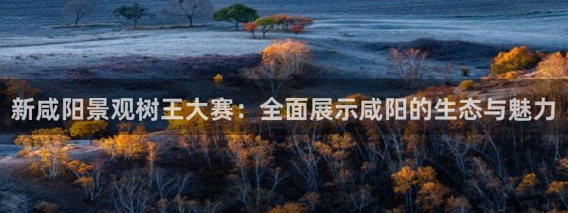 新宝gg计划