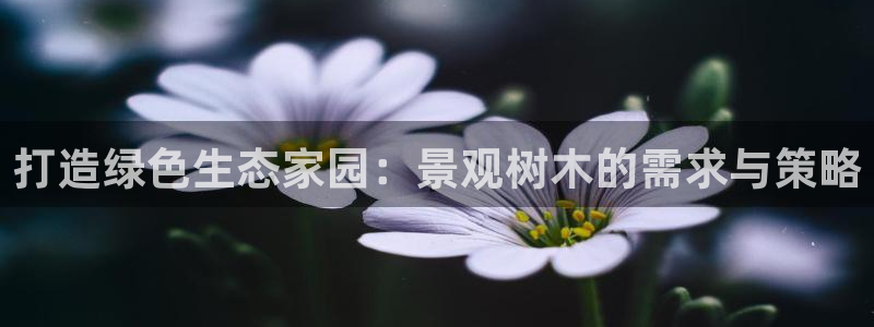 收新宝gg