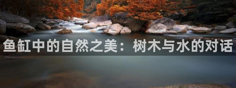 新宝GG扩展78778