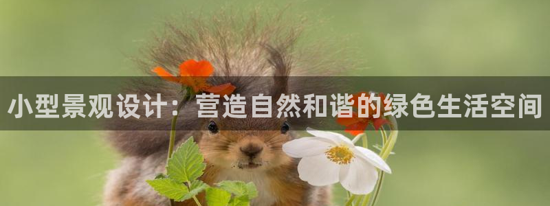 新宝gg主管