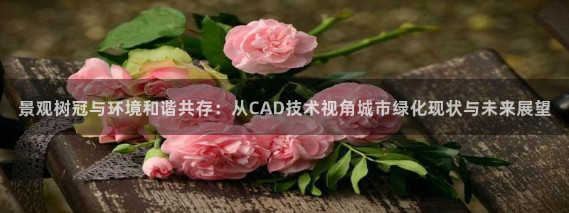 新宝GG手机客户端