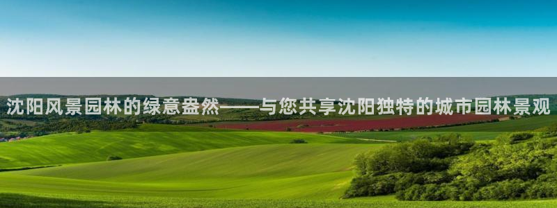 新宝gg网点