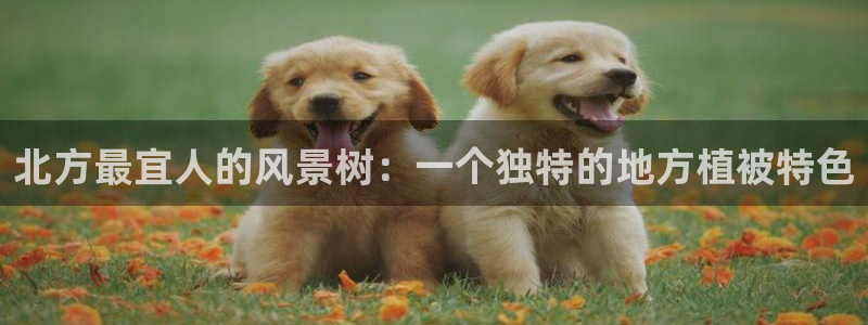 新宝gg重庆