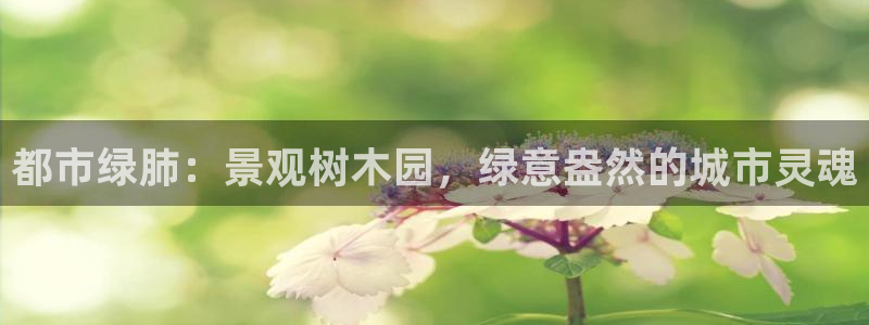 xbgg新宝gg