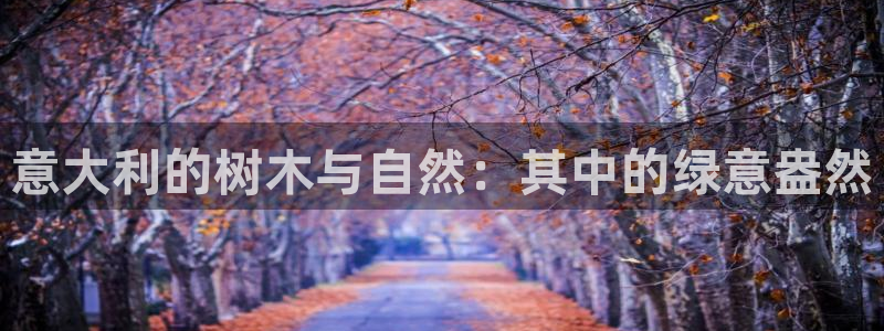 新宝gg评论