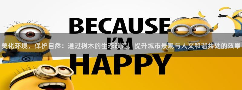 怎么代理新宝gg