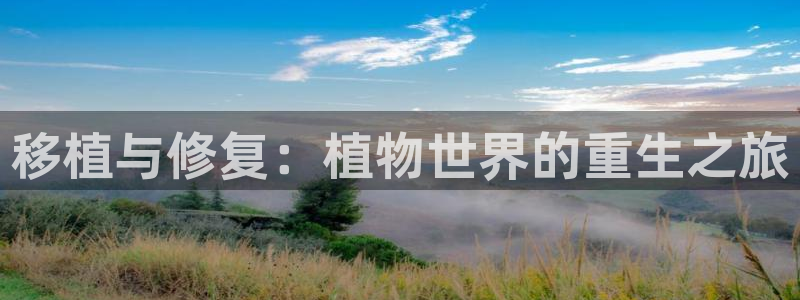 新宝GG电话