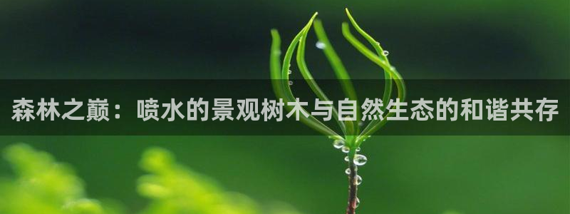 网站新宝GG