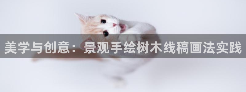 新宝gg吧