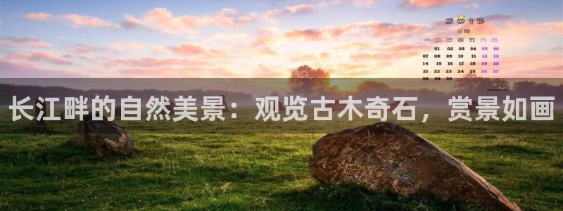 新宝GG娱乐下载