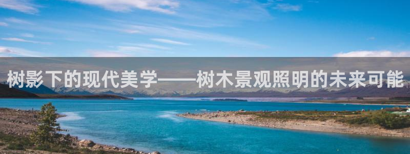 新宝gg代理条件