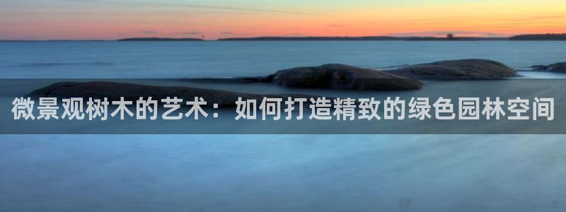 新宝gg会员：微景观树木的艺术：如何打造精致的绿色园林空间