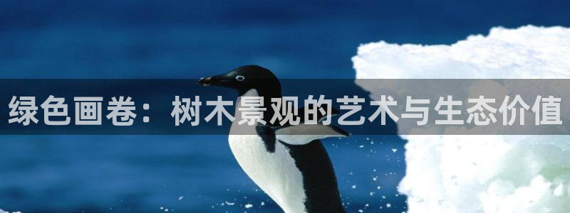 新宝gg挂机app